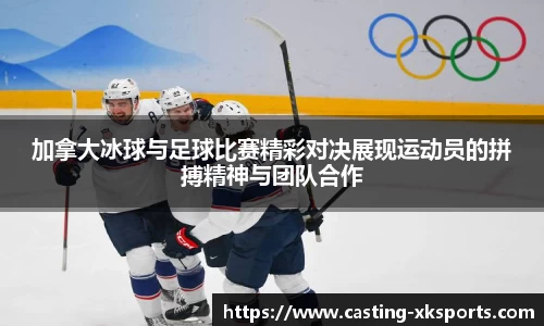 星空体育网站入口